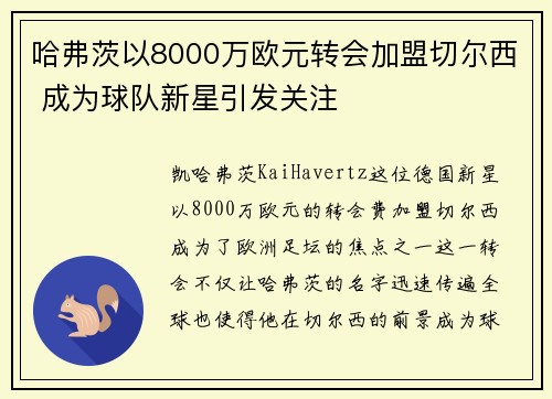 哈弗茨以8000万欧元转会加盟切尔西 成为球队新星引发关注 哈弗茨以8000万欧元转会加盟切尔西 成为球队新星引发关注